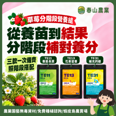 〘 草莓肥料〙 分階段營養組 TE11 葉效速 TE13果效速 TE31百果素 葉面肥 育苗肥 開花結果 鈣硼