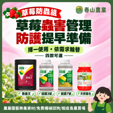 〘 草莓防蟲組〙 四款可選 除蟲王／超護3號／超護7號／天然醫生 草莓蟲害 紅蜘蛛 蚜蟲 薊馬