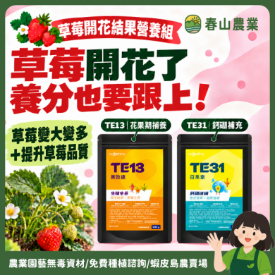 〘 草莓開花結果營養組 〙 TE13果效速 TE31百果素 草莓肥料 葉面肥 鈣硼肥 花果期 連續採收